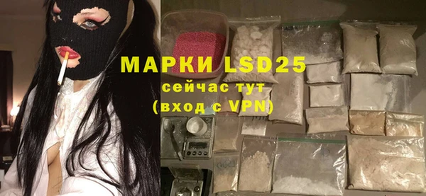молекула духа Арсеньев